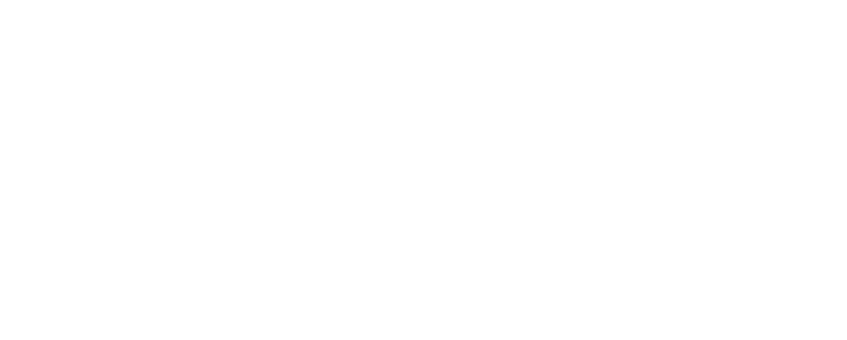 BRIZ